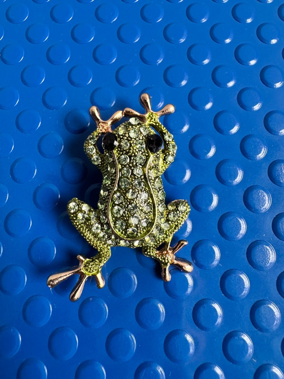 Carnavals kikker broche., Ophalen of Verzenden, Nieuw, Carnaval, Accessoires