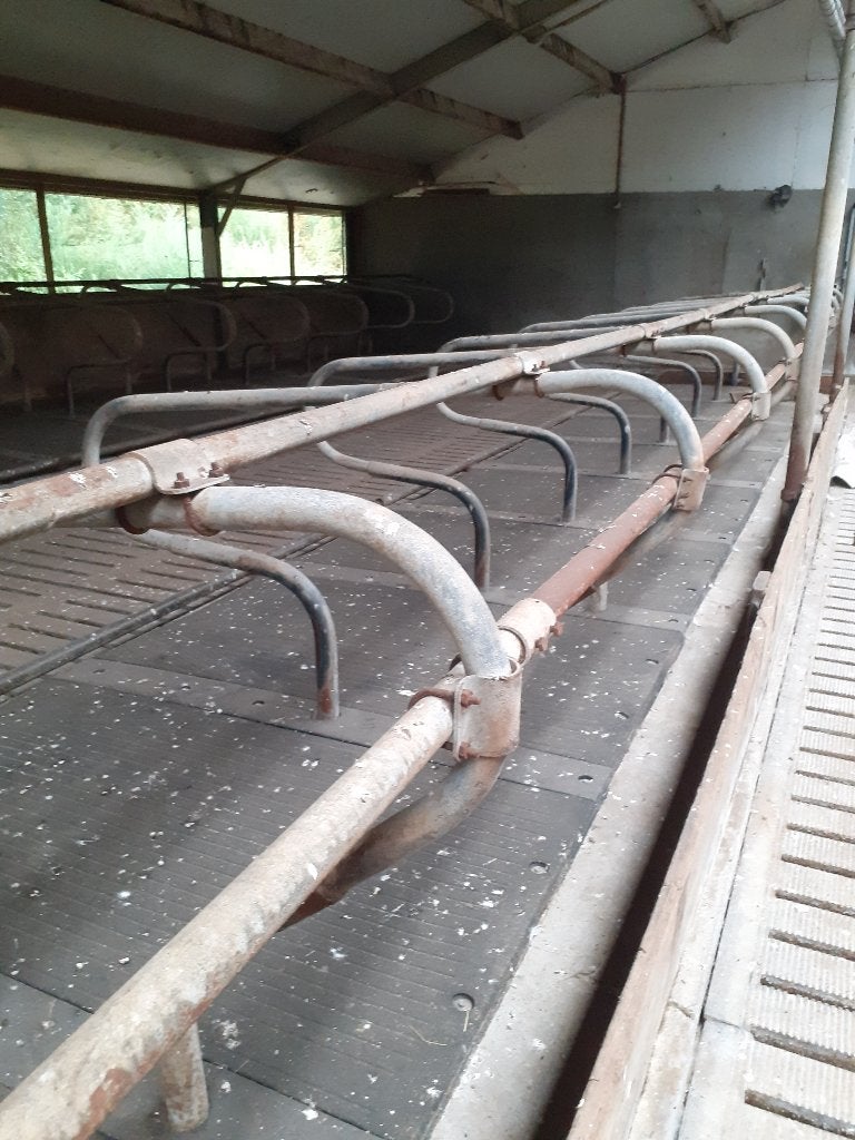 ligboxen (paddestoelmodel), Dieren en Toebehoren, Meerdere dieren