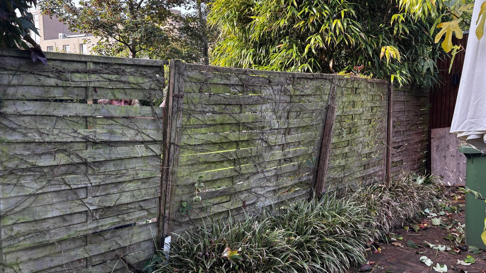 Gratis af te halen: Oude houten schutting voor hergebruik, Ophalen, 6 meter of meer, Hout, 1 tot 2 meter