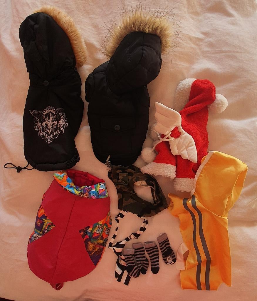 Kleding voor chihuahua, Ophalen, Zo goed als nieuw, Hondenjas
