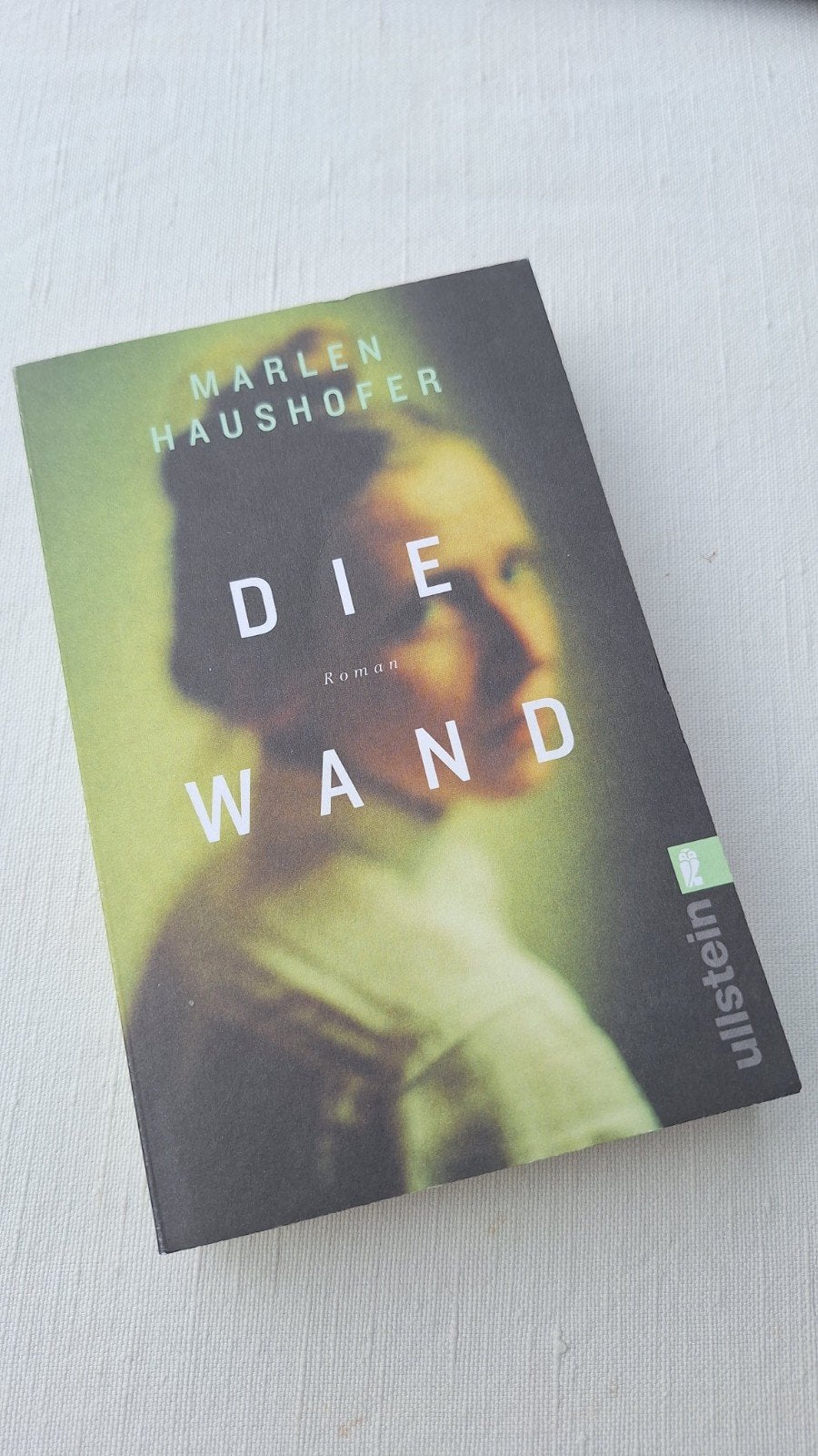 Die Wand - Marlen Haushofer (Roman), Ophalen of Verzenden, Zo goed als nieuw, Marlen Haushofer, Europa overig