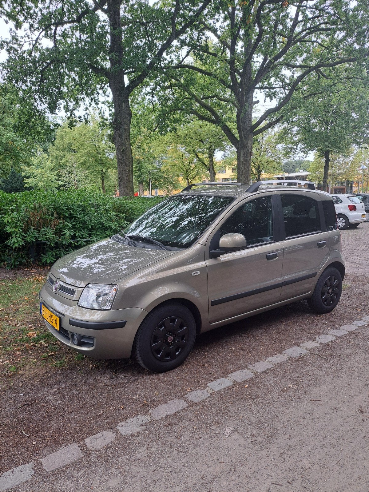Fiat Panda 1.2 44KW 60PK 2010 Beige, Voorwielaandrijving, 1242 cc, Beige, Origineel Nederlands