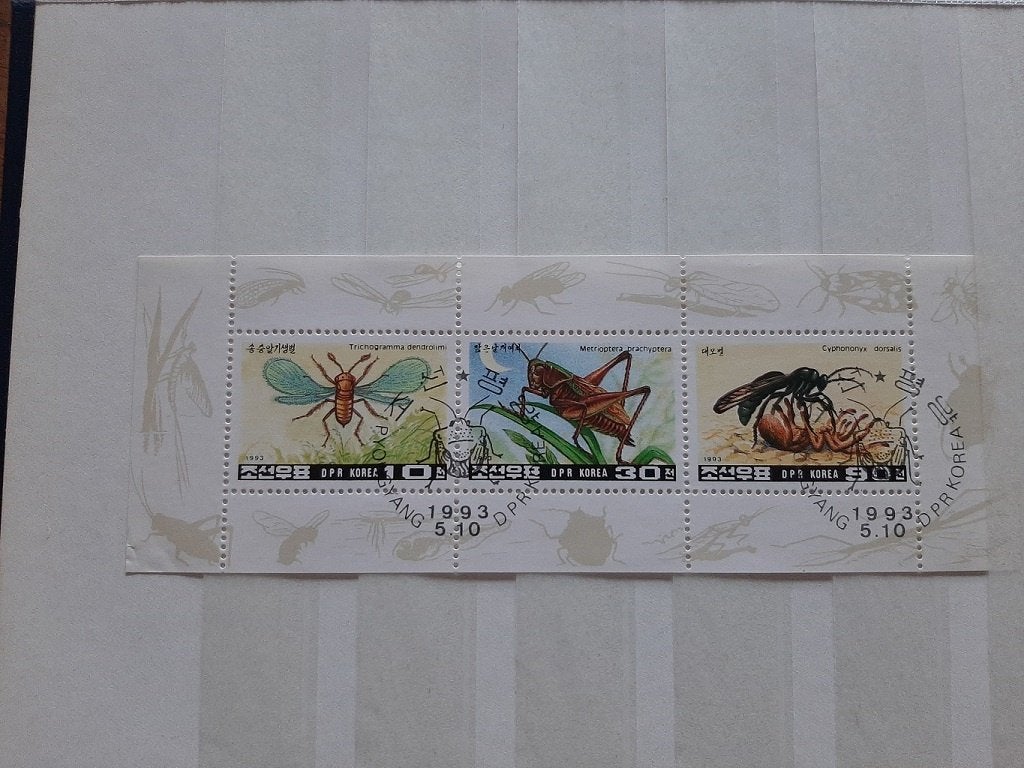 Noord Korea 1993, Insecten, Ophalen of Verzenden, Gestempeld, Oost-Azië