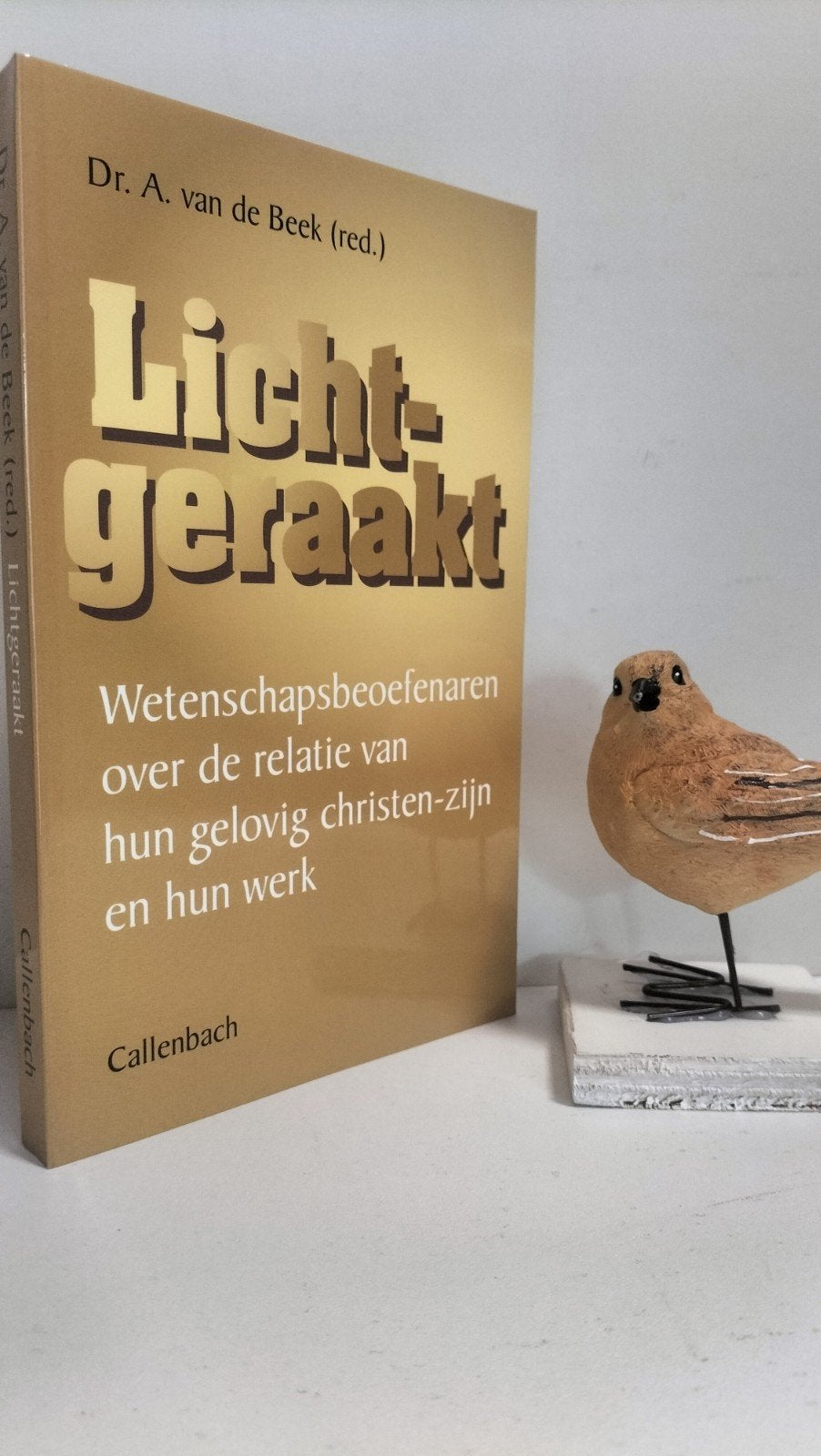 Beek, Dr. A. van de; Lichtgeraakt, Boeken, Ophalen of Verzenden, Gelezen, Christendom | Protestants