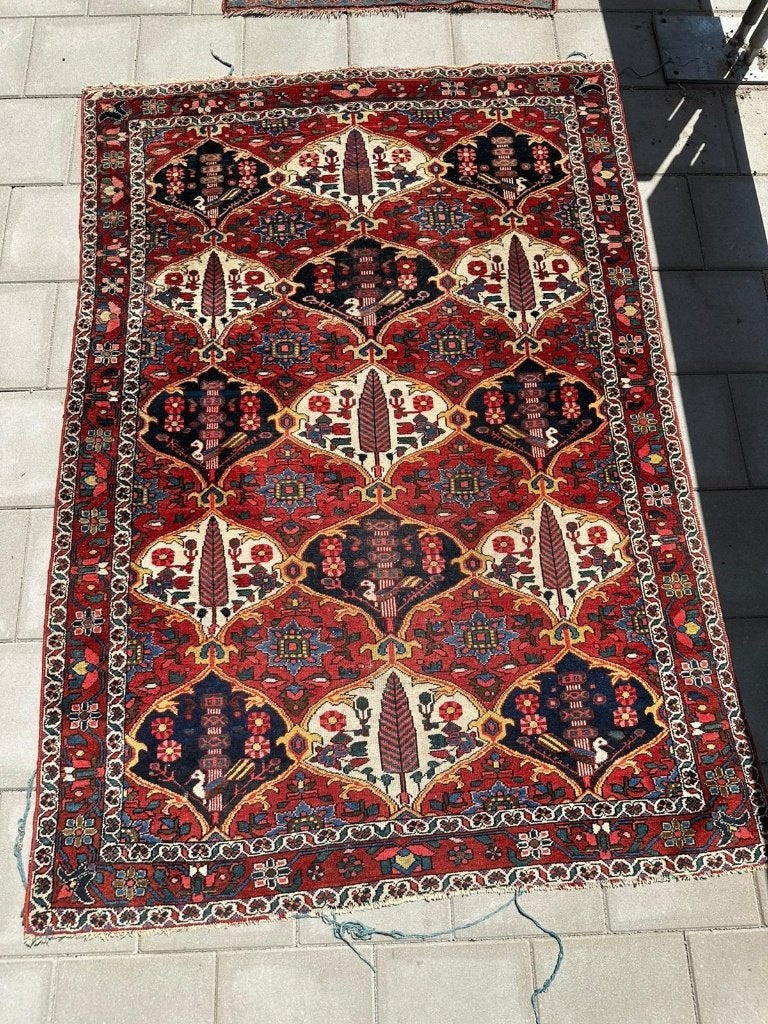 Bakhtiar tapijt – 210121 cm – Perzische cipressen & pauwen, 100 tot 150 cm, Wol, 200 cm of meer, Ophalen of Verzenden