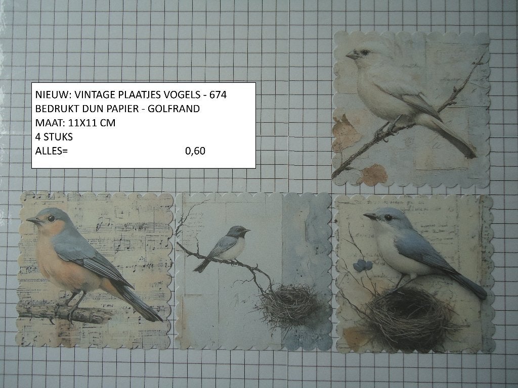 vintage plaatjes vogels 674 ( alleen verzenden, Ophalen, Nieuw, Dieren, Knipvel