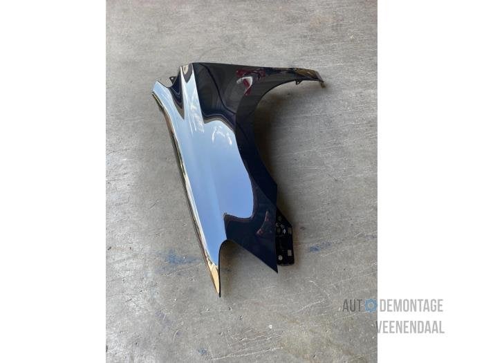 Scherm links-voor van een Volkswagen Polo (L041), -, Volkswagen, -, Nieuw
