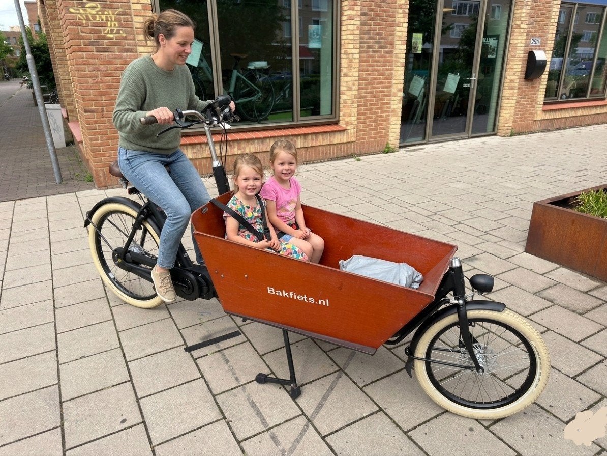 Bakfiets(.)nl Cargo Bike - Ideaal voor lange ritten, Overige merken, Gebruikt, Onbekend adres, Nederland, Elektrisch