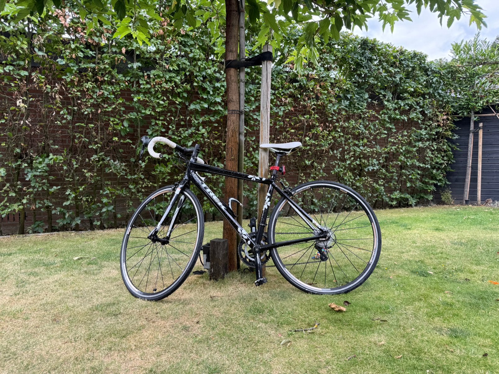 Trek Lexa S-C damesfiets – Kleine framemaat 47 cm, 28 inch, Gebruikt, Velgrem, Minder dan 47 cm