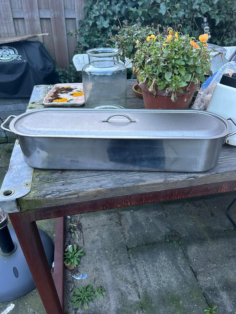 Grote RVS Vispan met Rooster en Deksel, Huis en Inrichting, Keuken | Potten en Pannen, Ophalen of Verzenden, Gebruikt, Rvs, Overige typen