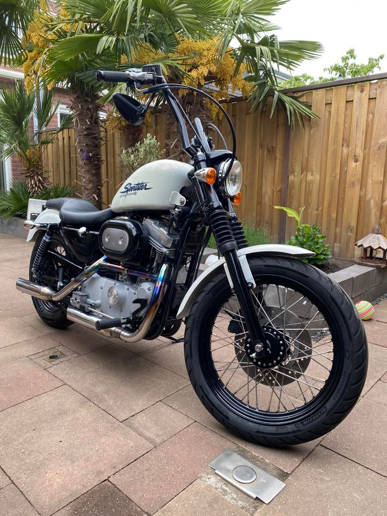 Harley davidson sportster 883 53custom, 2 cilinders, Nieuw, Chopper, 883 cc