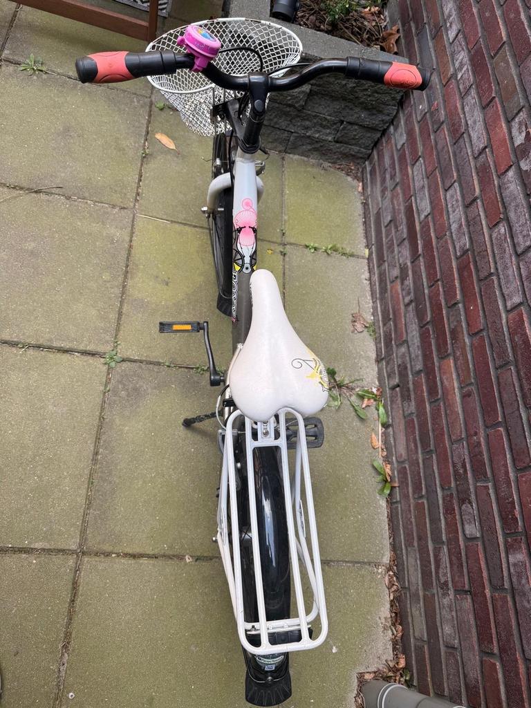 Meisjesfiets Loekie Foxie Lady 20 inch (5-10 jaar), Ophalen, Terugtraprem, Gebruikt, Handrem