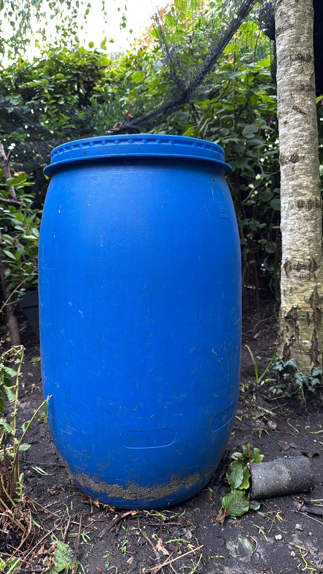 Regenton, 150 liter of meer, Ophalen, Gebruikt, Kunststof