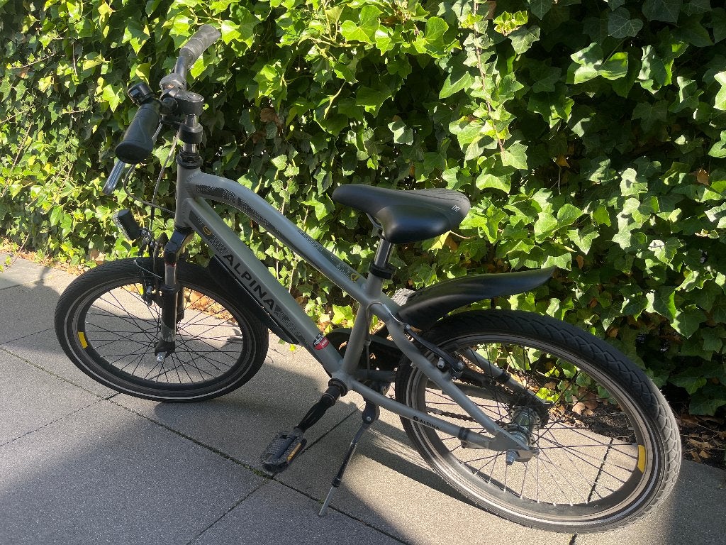 Alpina trial 20 inch, Fietsen en Brommers, Fietsen | Kinderfietsjes, Ophalen, Zo goed als nieuw, 20 inch of meer
