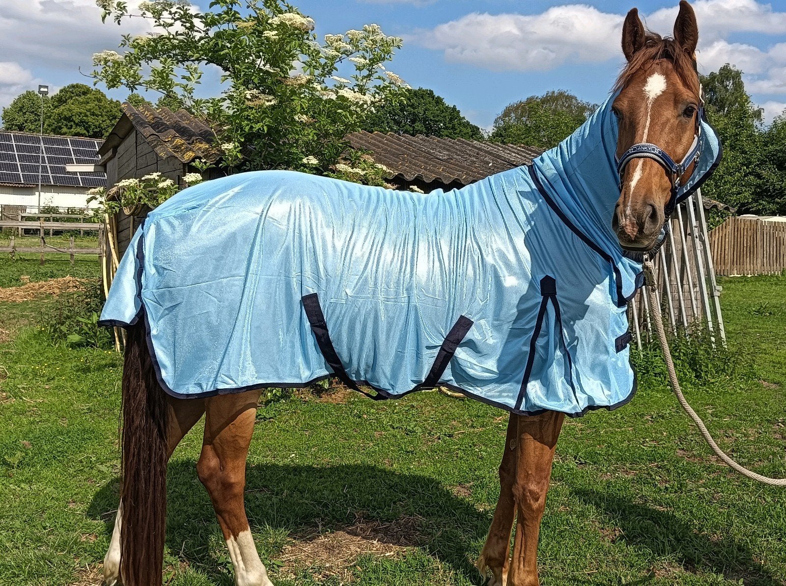 Nieuwe Blauwe Vliegendeken met vaste Hals Maat 185, Dieren en Toebehoren, Paarden en Pony's | Dekens en Dekjes, Overige merken