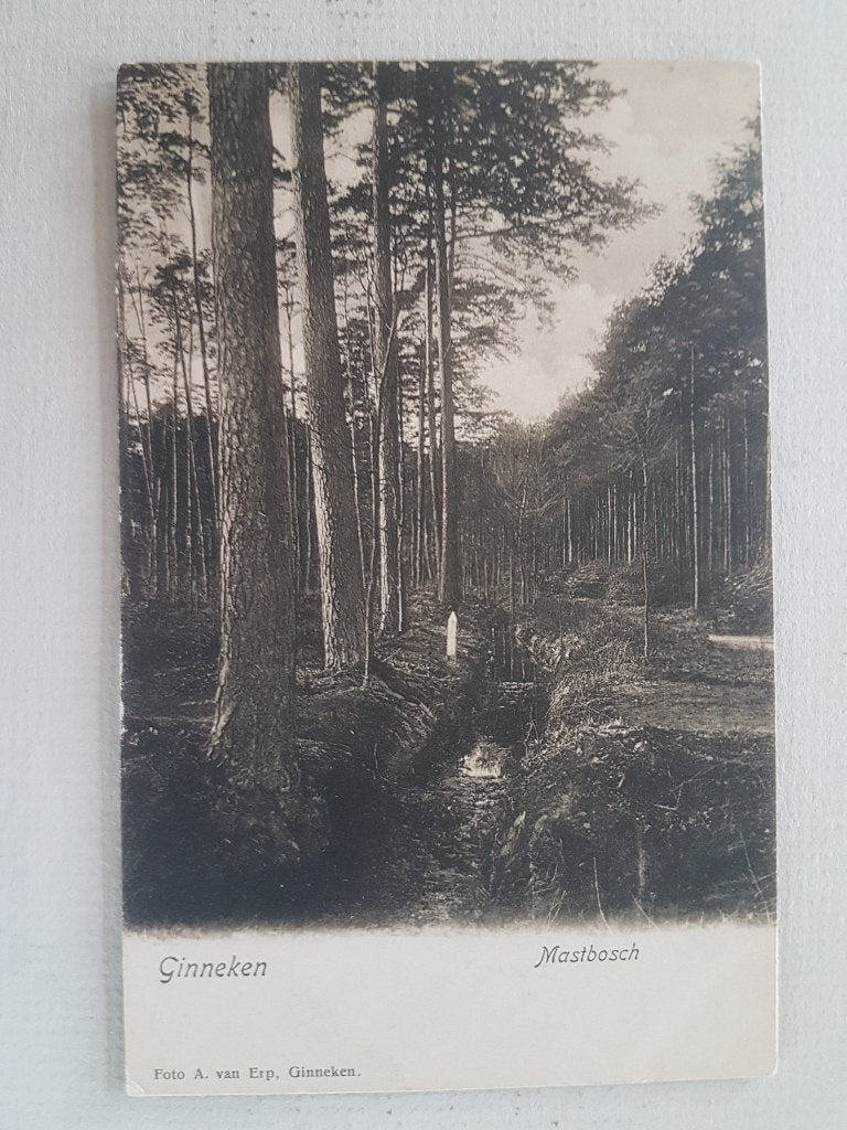 Ansichtkaart Ginneken Mastbosch ( Breda ), Ophalen of Verzenden, Voor 1920, Gelopen, Noord-Brabant