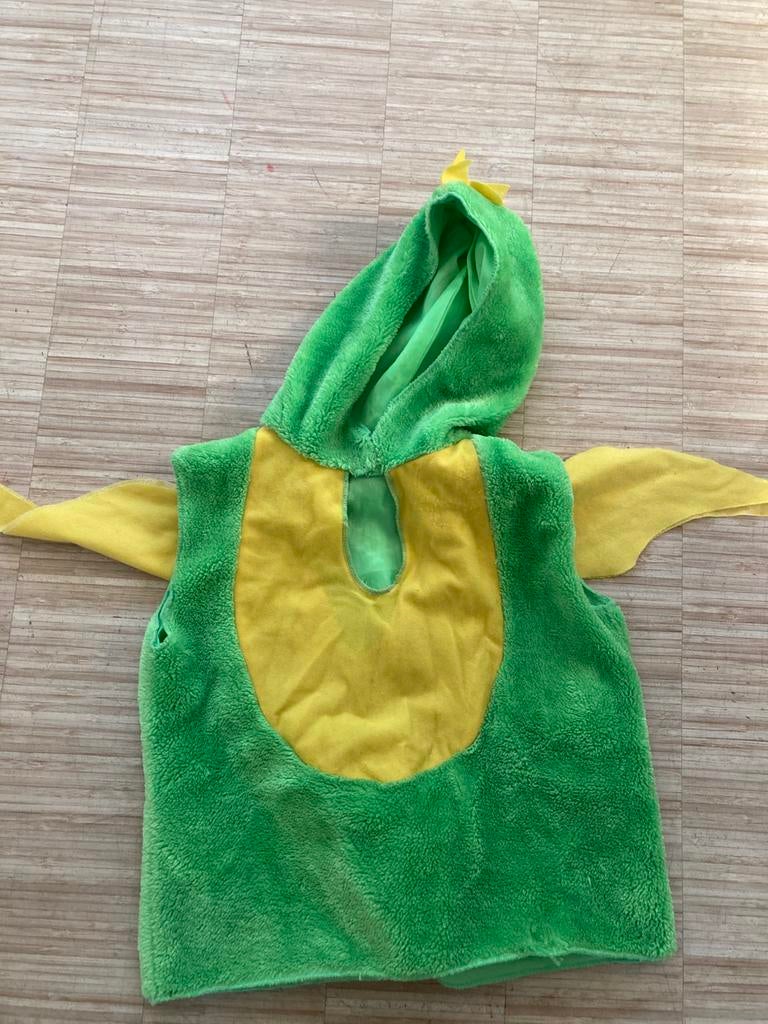 Drakenpak verkleedkleding, Kinderen en Baby's, Carnavalskleding en Verkleedspullen, Ophalen of Verzenden, Gebruikt, 110 t/m 116