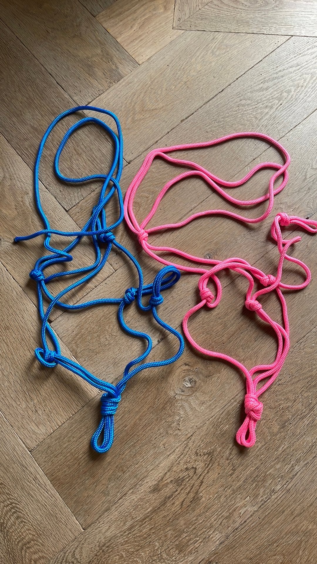 Halster van touw blauw en roze, Ophalen, Nieuw