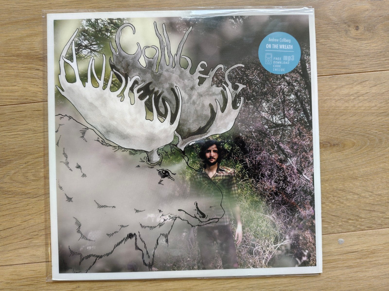 Indie folk ANDREW COLLBERG : ON THE WREATH, Cd's en Dvd's, Ophalen of Verzenden, Zo goed als nieuw, 12 inch, Folk Rock