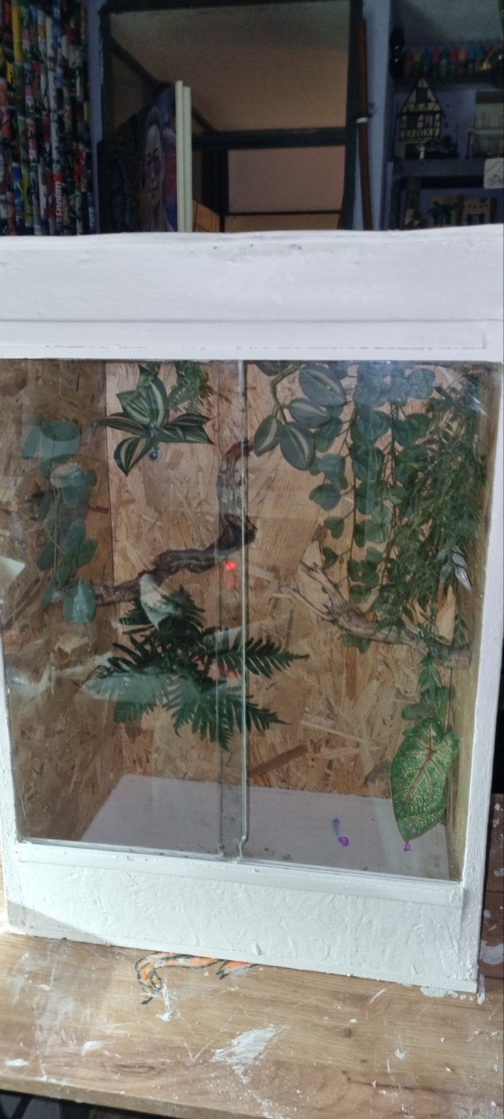 terrarium 50x35x72, Ophalen of Verzenden