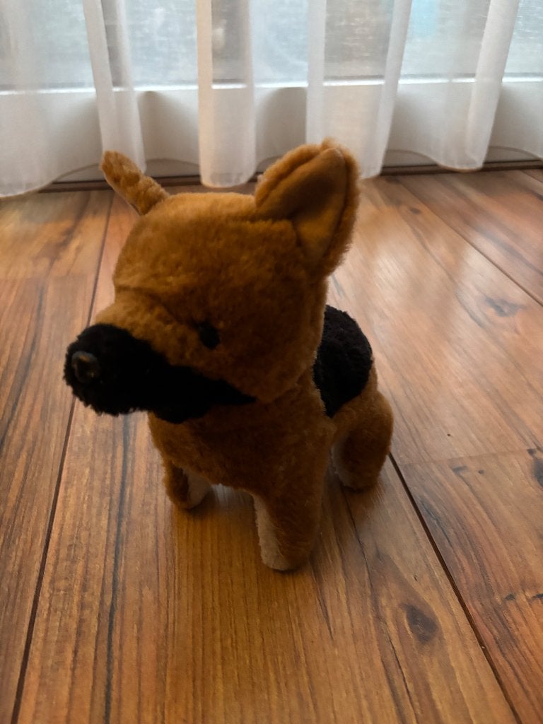Hondje op batterijen kan lopen, Ophalen, Gebruikt, Hond