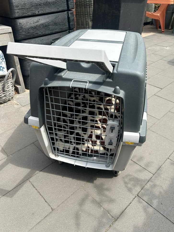 Kattenbench/ kleine hondenbech, Ophalen, Gebruikt