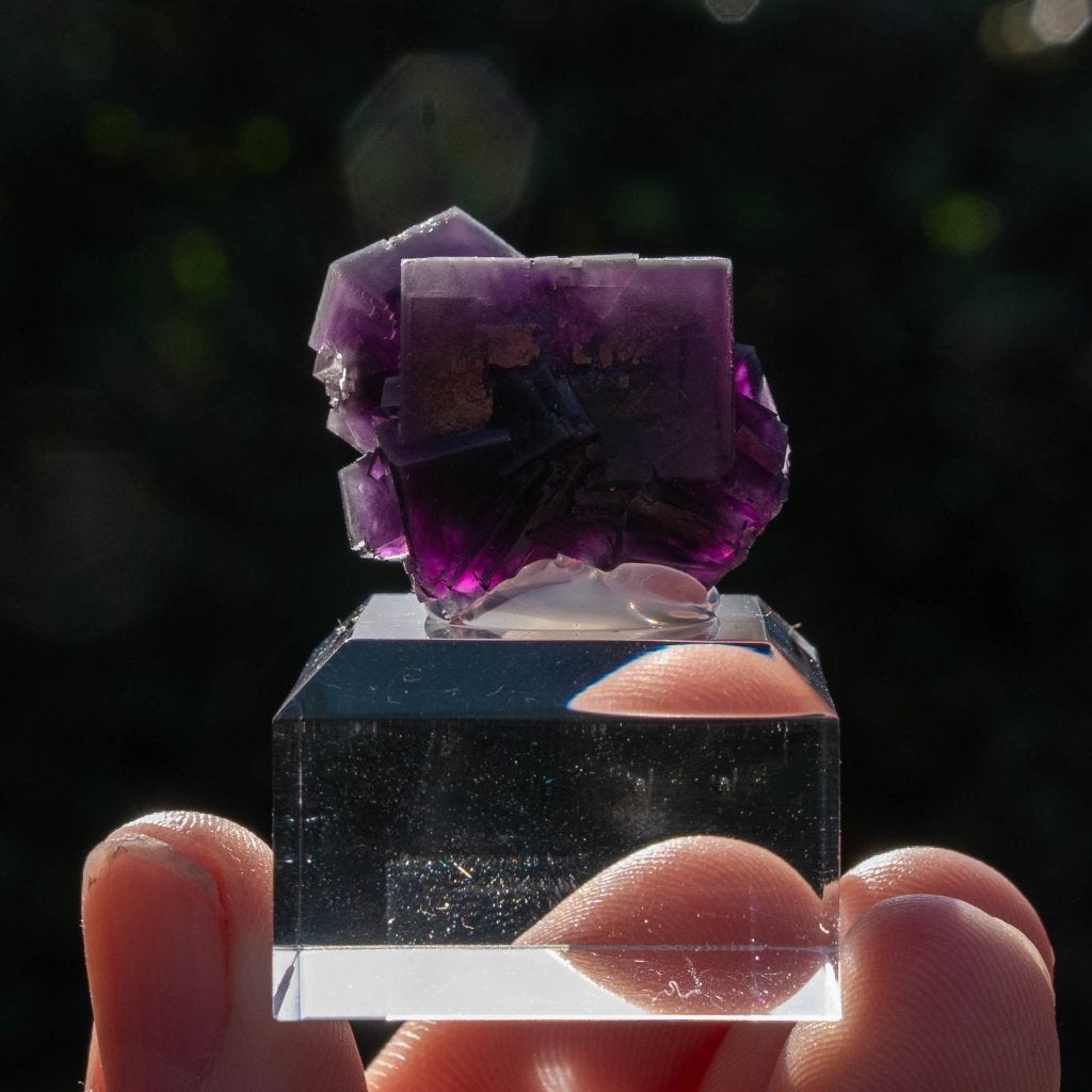 Fluoriet uit Weisseck, Gipfelkluft #5, Verzamelen, Ophalen of Verzenden, Mineraal
