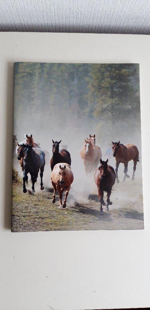 Nieuw schrift met paarden, Ophalen of Verzenden, Nieuw