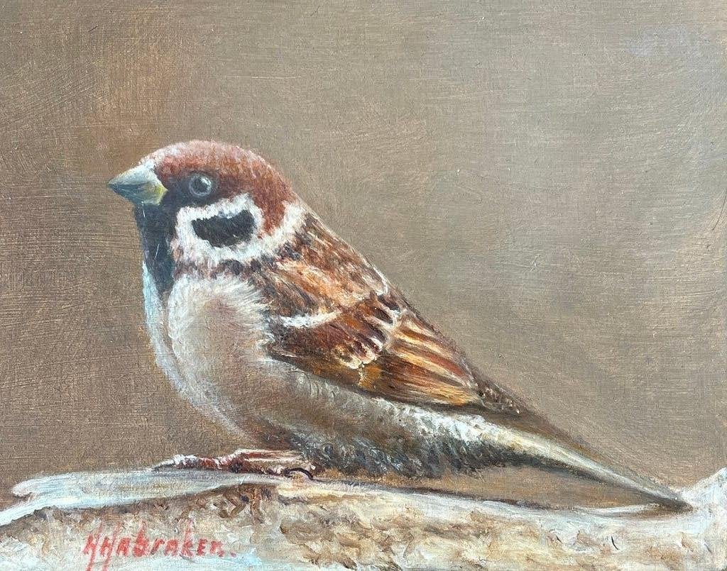 Schilderij van een mus. Hans Habraken., Ingelijst, Paneel, Realistisch, Dieren