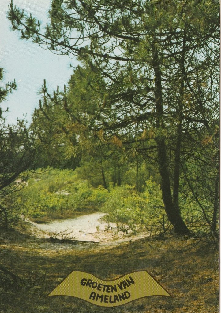 AMELAND Bos Groeten, Verzenden, 1960 tot 1980, Ongelopen, Waddeneilanden