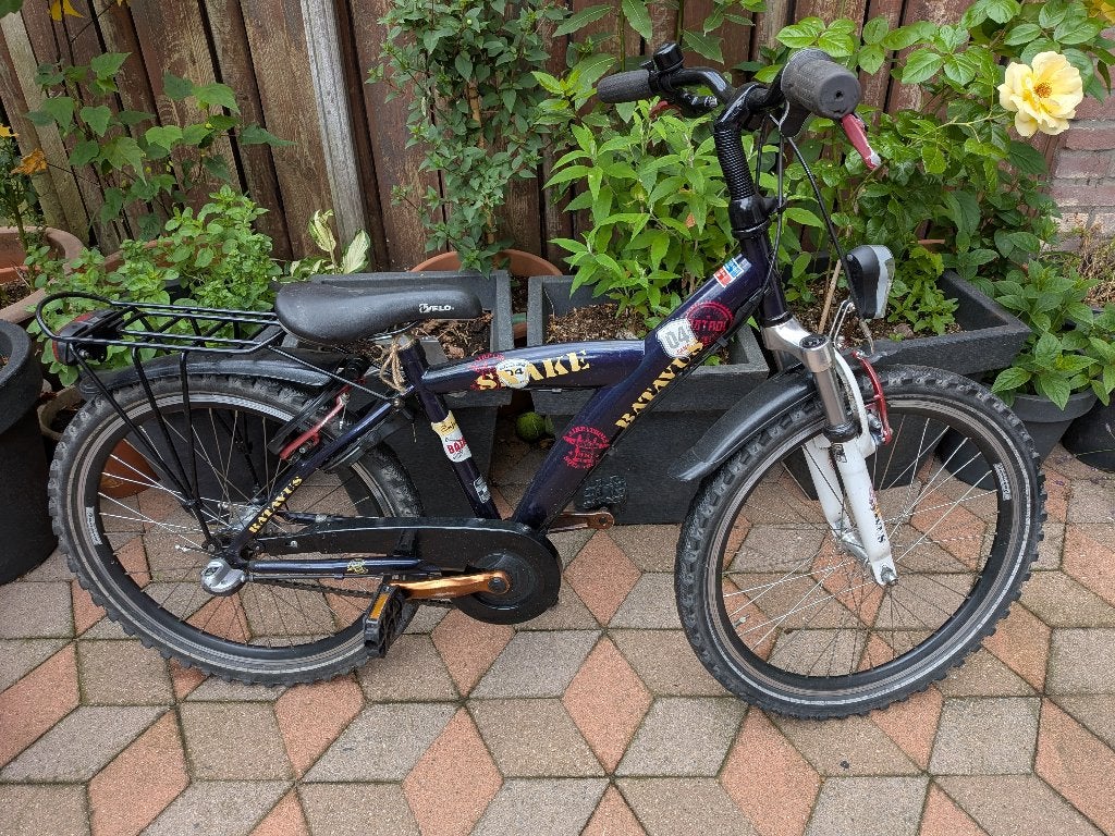 2X 22# Batavus Snake 3V & Loekie Xplore, Fietsen en Brommers, Ophalen, Terugtraprem, 22 inch, Gebruikt