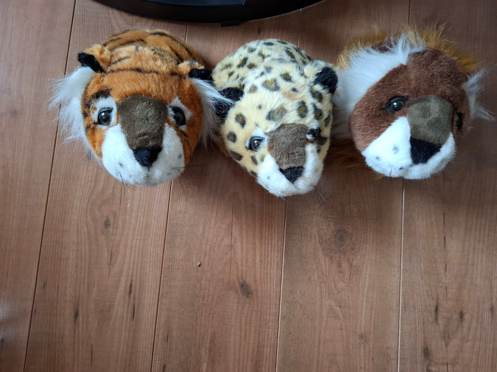 Unieke set van 3 pluche dierenkoppen voor aan de muur (Russ, Ophalen, Knuffels