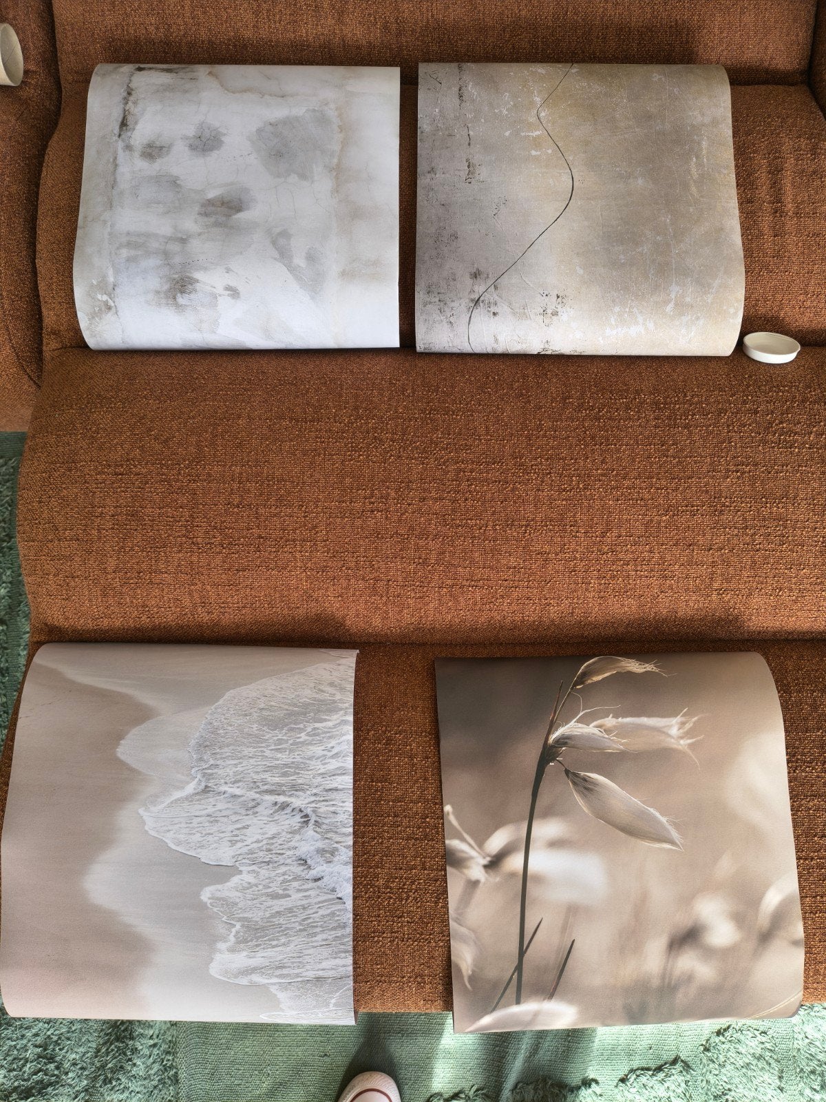 Set van 4 posters 30x40 cm - Nieuw, Ophalen of Verzenden, Nieuw, A1 t/m A3, Dier of Natuur