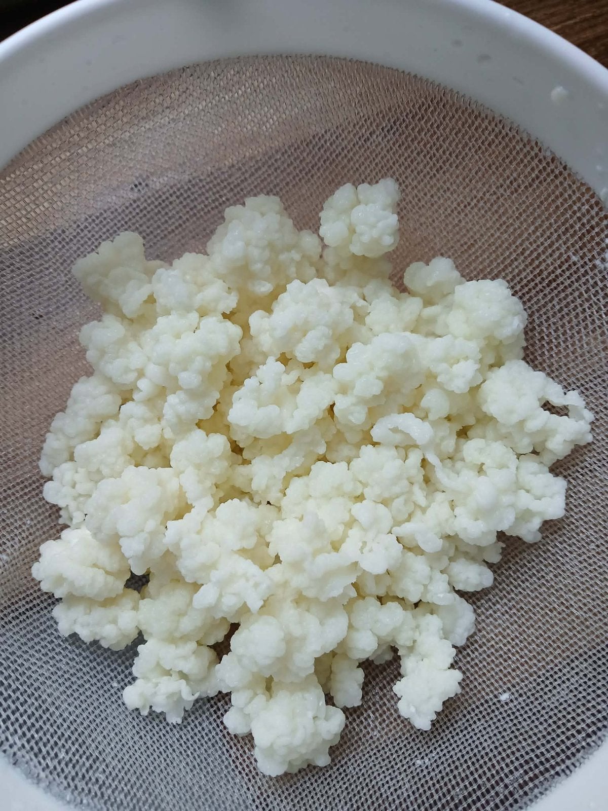 Melk kefir korrels, Diversen, Levensmiddelen, Ophalen of Verzenden