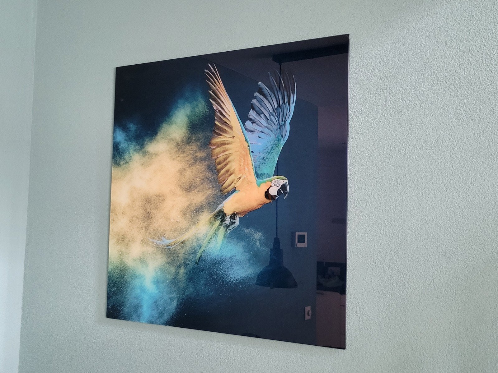 Papegaai glasschilderij 80x80 cm, Ophalen, Zo goed als nieuw, Schilderij, 75 tot 100 cm