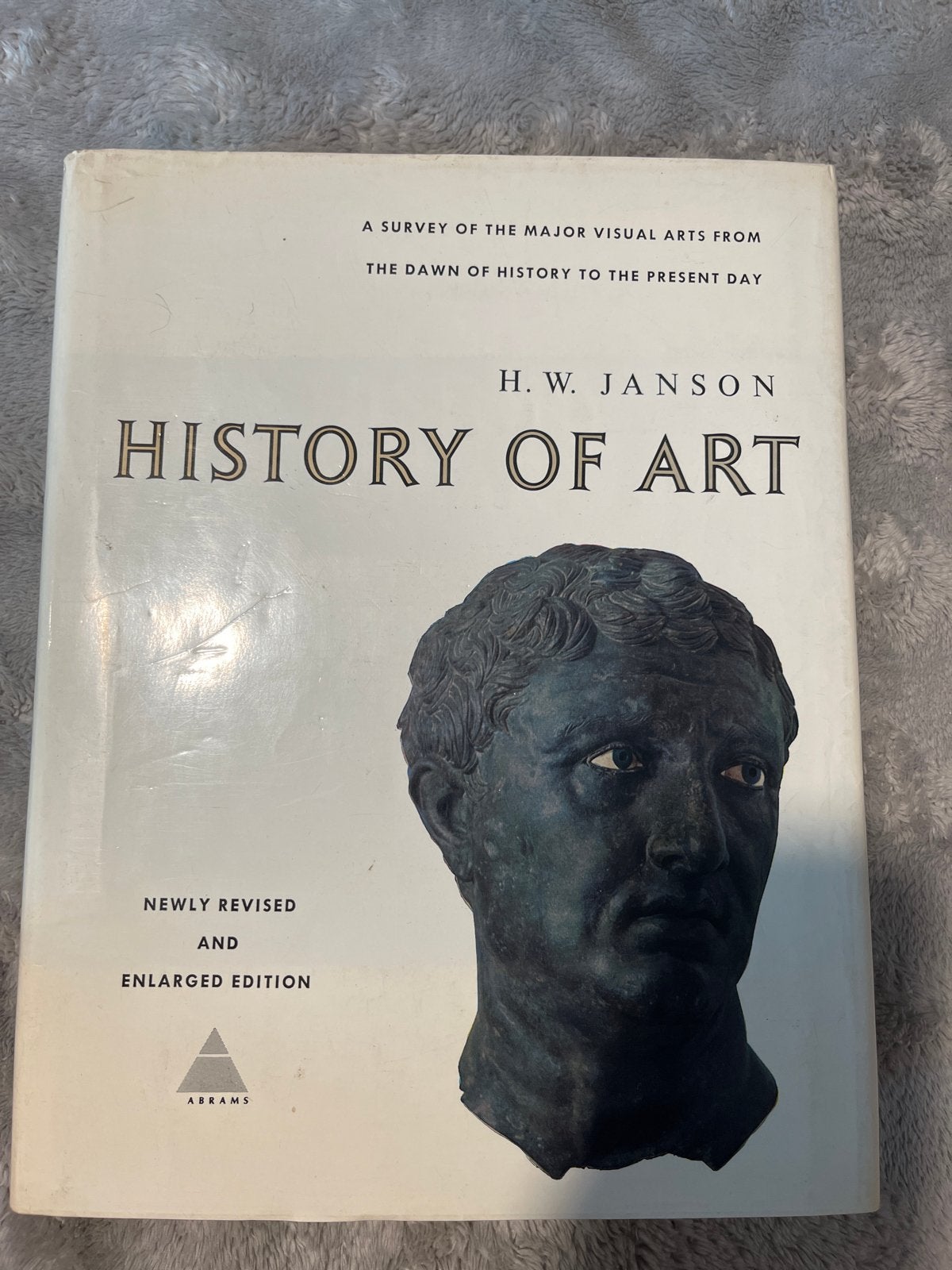History of Art - H.W. Janson (Engelse editie), Ophalen of Verzenden, Gelezen, Overige onderwerpen