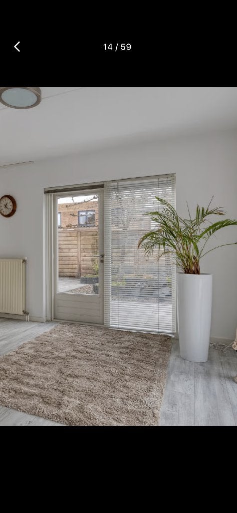 Vloerkleed, Huis en Inrichting, Ophalen, Beige, 150 tot 200 cm, Rechthoekig