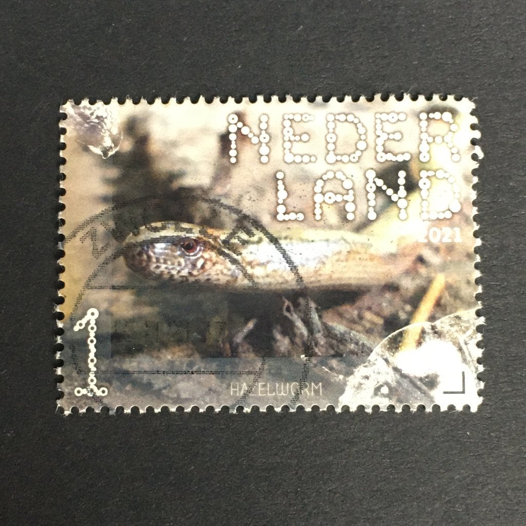 2707 Nederland 2021 Beleef Dwingelderveld, gestempeld, Ophalen of Verzenden, Na 1940, Gestempeld