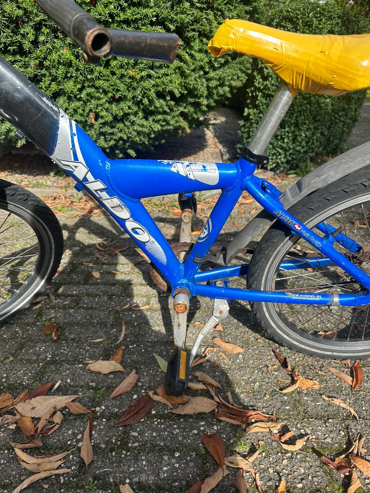 Foto 6 van Aldo kinderfiets 20 inch, blauw, met voorvering