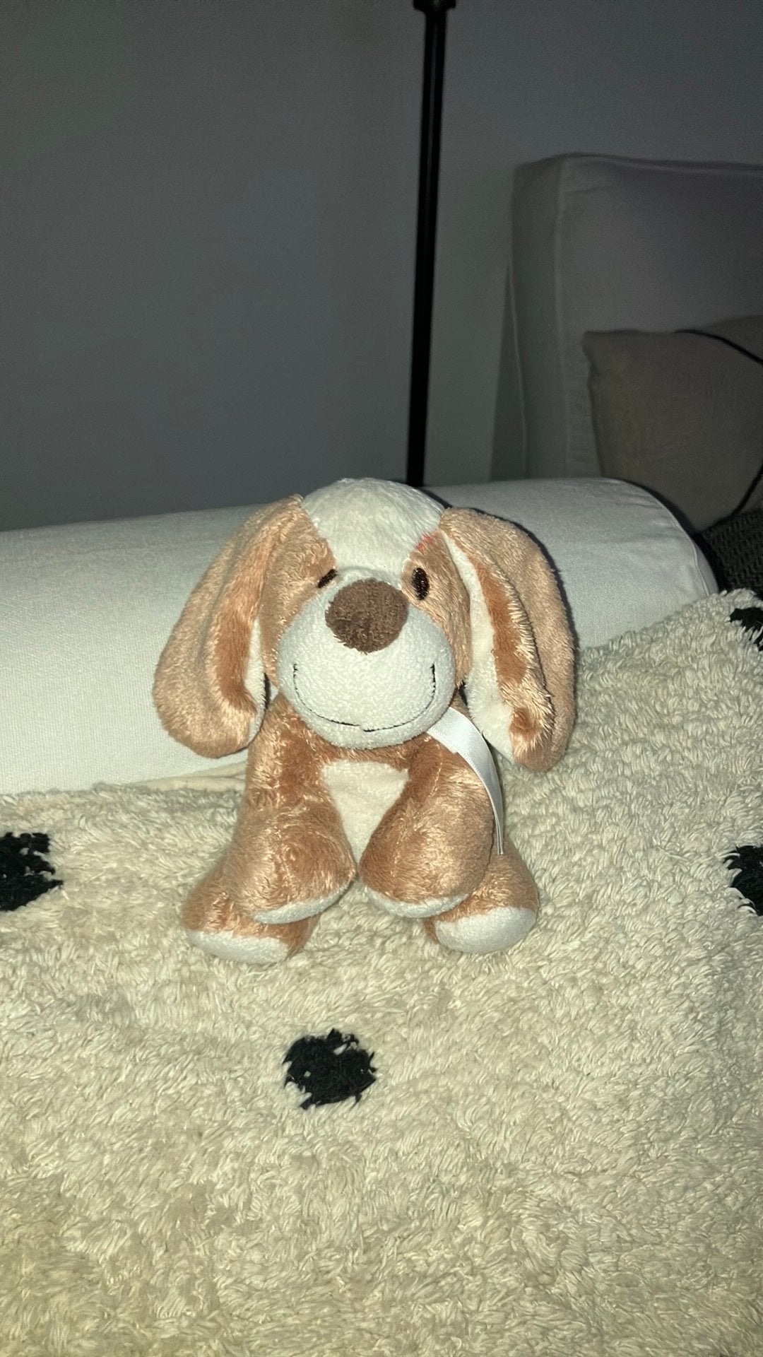 Happy horse hond dog, Ophalen of Verzenden, Zo goed als nieuw, Hond