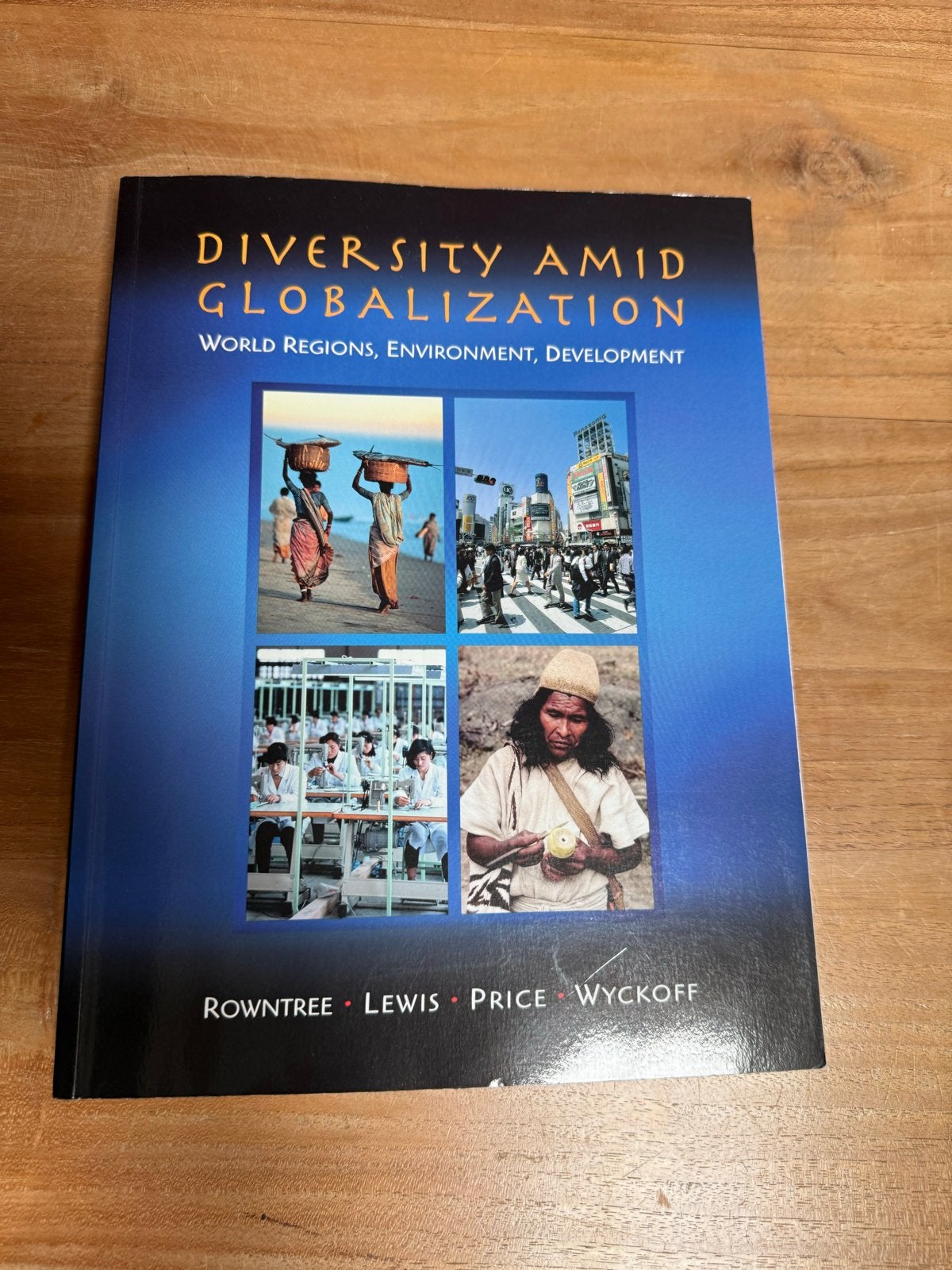 Diversity Amid Globalization: World Regions, Environment, Ophalen of Verzenden, Gamma, Zo goed als nieuw, HBO