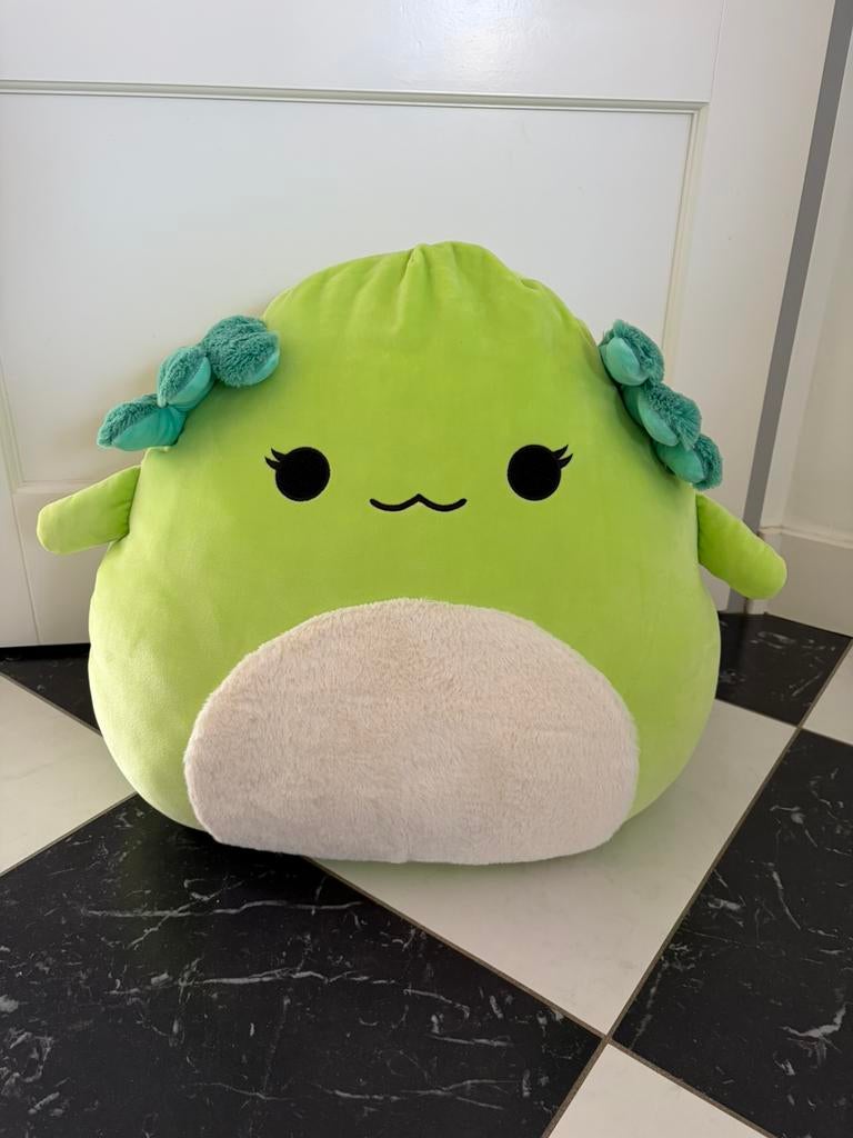 Squishmallows Mipsy Groene Axolotl 65 cm XXL kawaii plushie, Groen, Overige karakters, Overige typen, Nieuw
