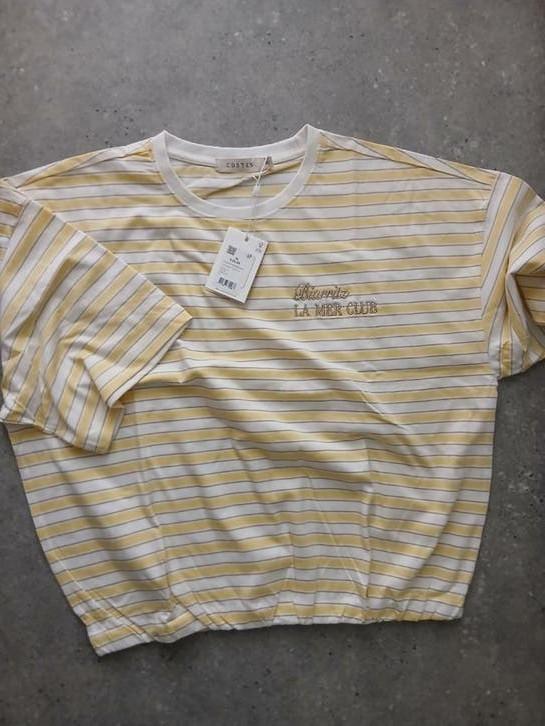 Costes t-shirt XL ( shortsleeve) NIEUW, Kleding | Dames, Positiekleding, Geel, Maat 46/48 (XL) of groter, Nieuw, Shirt of Top