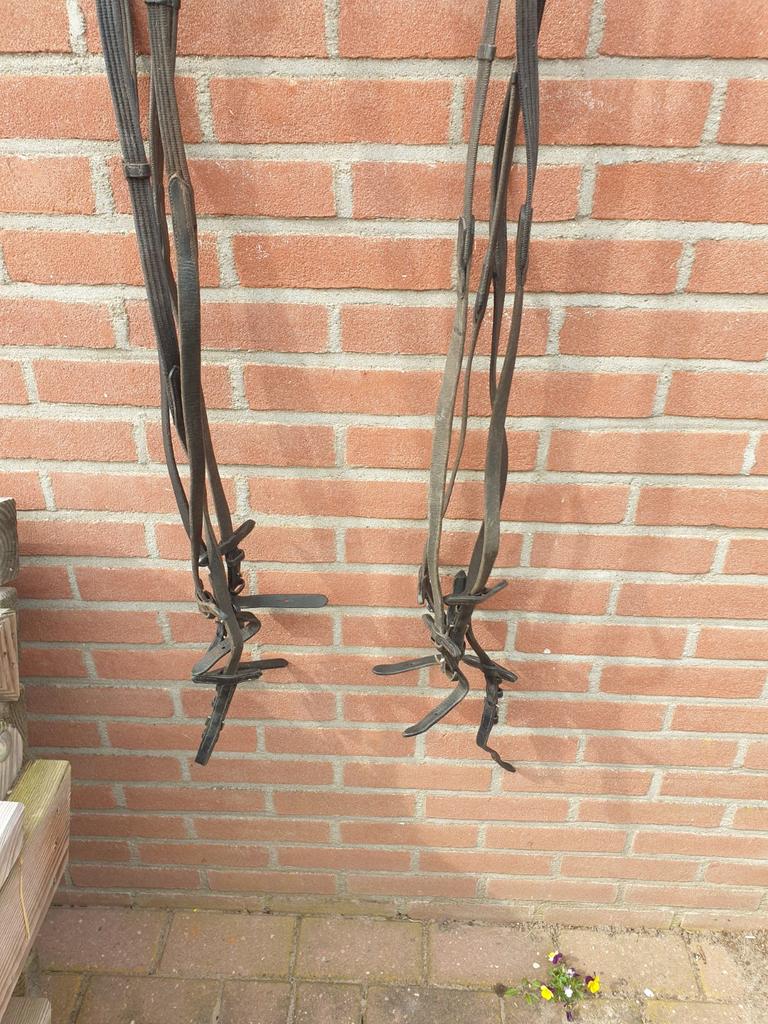 3 x teugels(kompleet) 280 cm, Dieren en Toebehoren, Ophalen of Verzenden, Overige soorten