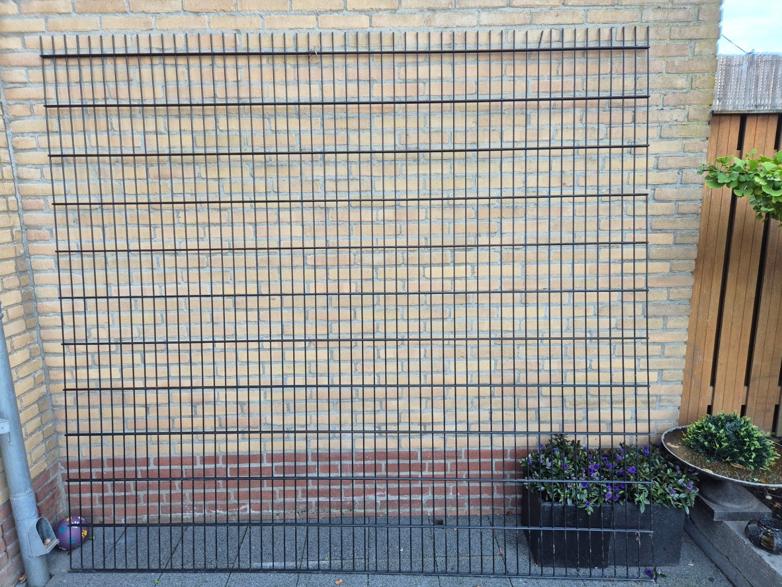Dubbelstaafmat hekwerk met poort - Zwart, Ophalen, Met poort, Gebruikt, Dubbelstaafmat hekwerk