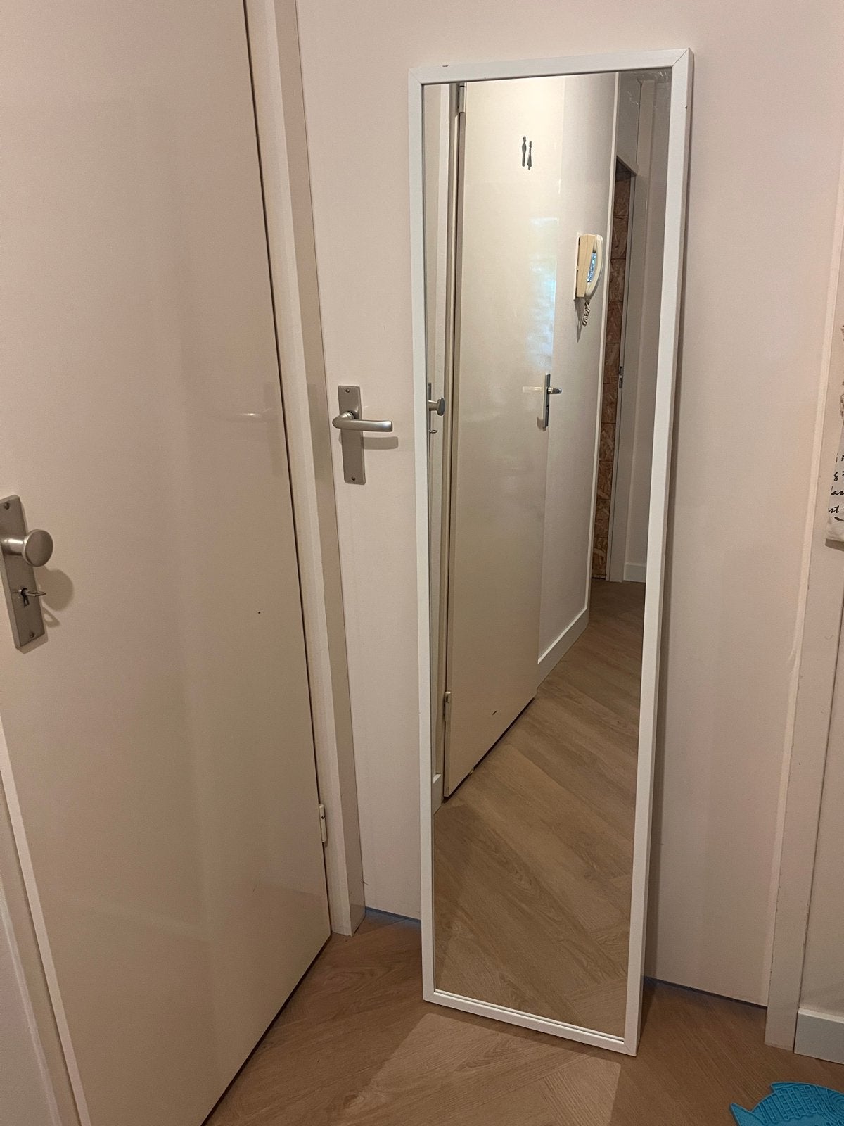 Spiegel 160x40  *GRATIS*, Huis en Inrichting, Ophalen, Minder dan 50 cm, Gebruikt, Minder dan 100 cm