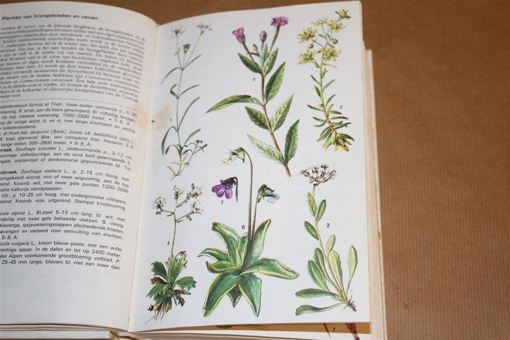Elseviers alpengids. 700+ kleurenafbeeldingen natuur., Ophalen of Verzenden, Gelezen, Natuur algemeen