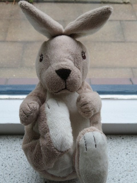 5 x Konijn van IKEA Gosig Kanin zacht velours, Kinderen en Baby's, Speelgoed | Knuffels en Pluche, IKEA, Konijn, Ophalen of Verzenden