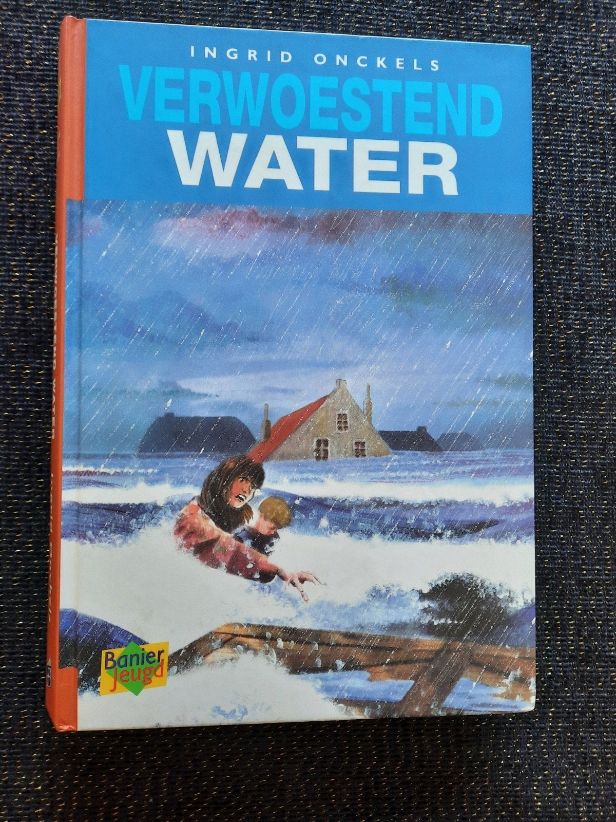 Verwoestend Water - Ingrid Onckels (hardcover, nieuwstaat), Ophalen of Verzenden, Zo goed als nieuw, Ingrid Onckels, Fictie