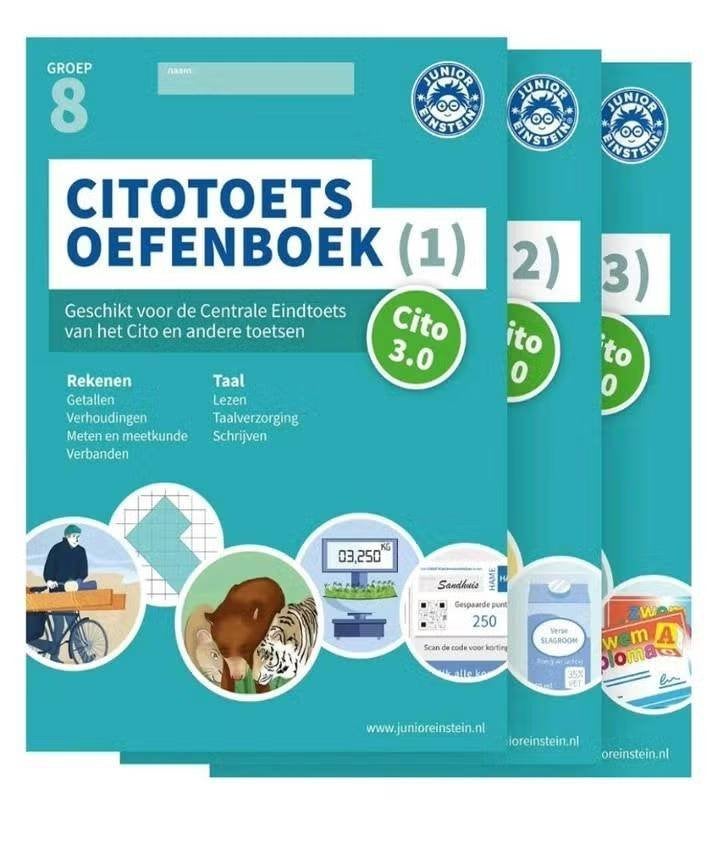 Cito Oefenboek Groep 8- Junior Einstein (deel 1, 2, 3) ebook, Ophalen, Nieuw, Overige niveaus, Nederlands